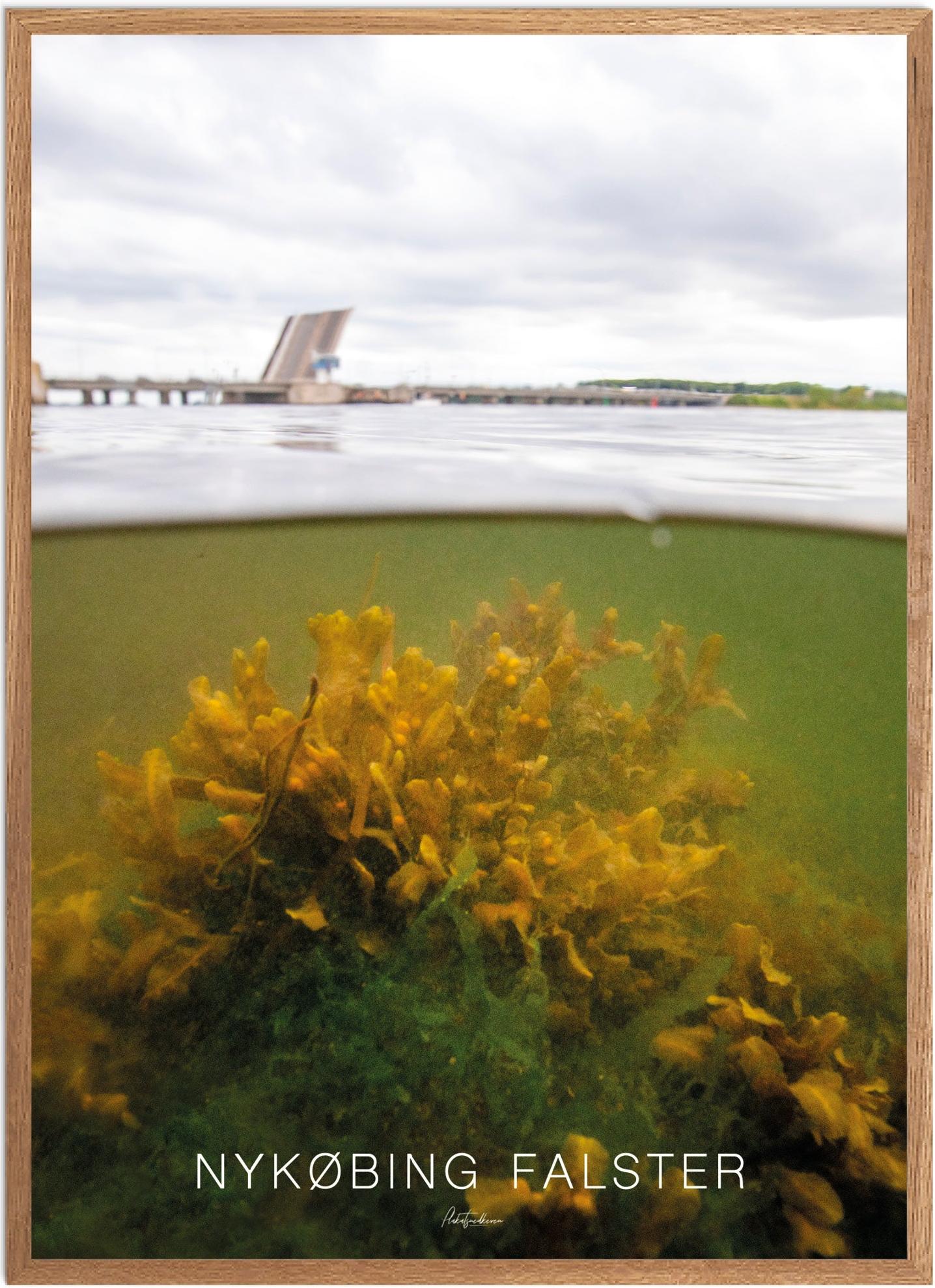 Plakat Nykøbing Falster Naturplakat Recommended Products Seguno Plakat Plakatsnedkeren