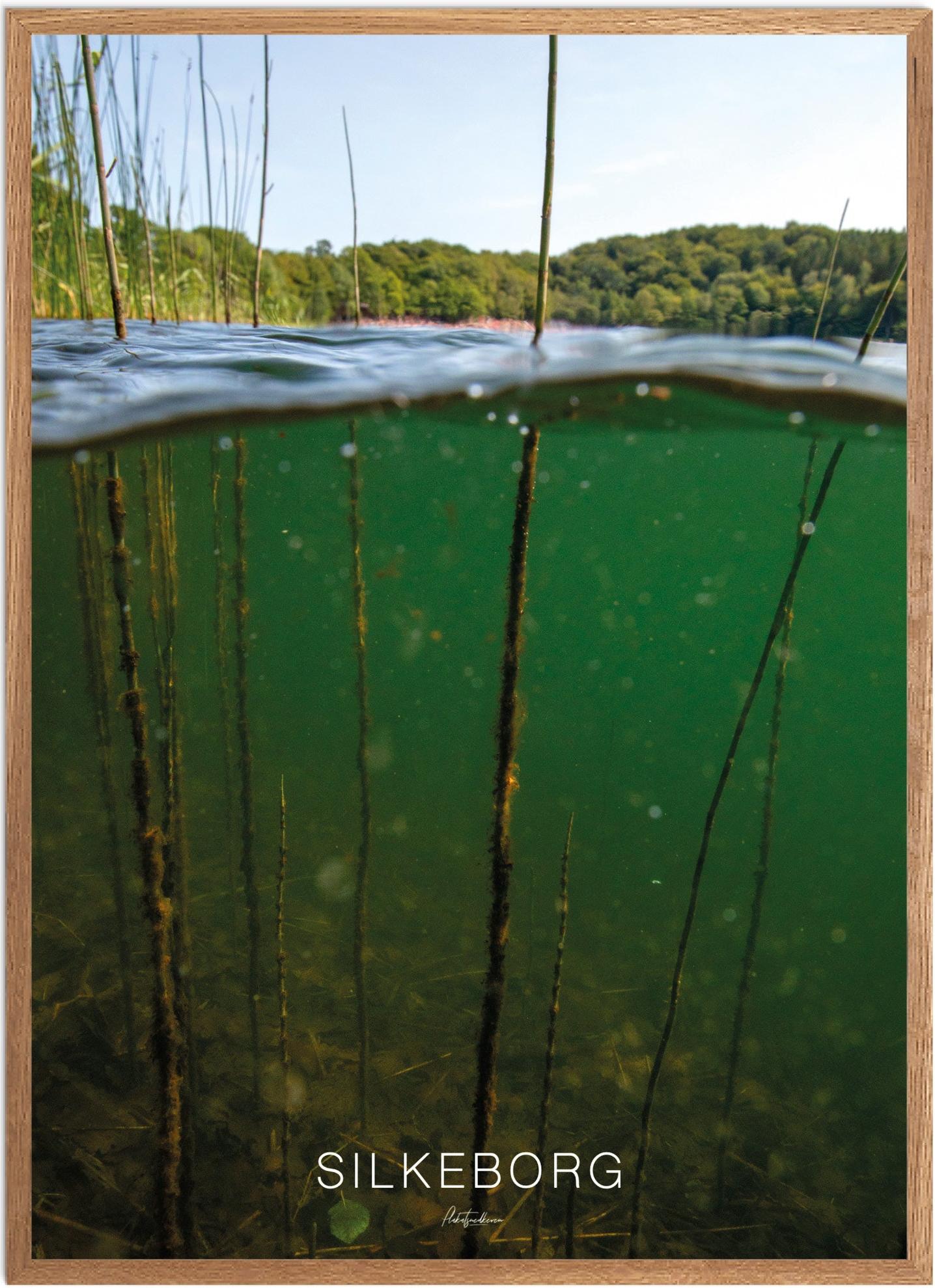 Plakat Silkeborg Naturplakat Recommended Products Seguno Plakat Plakatsnedkeren