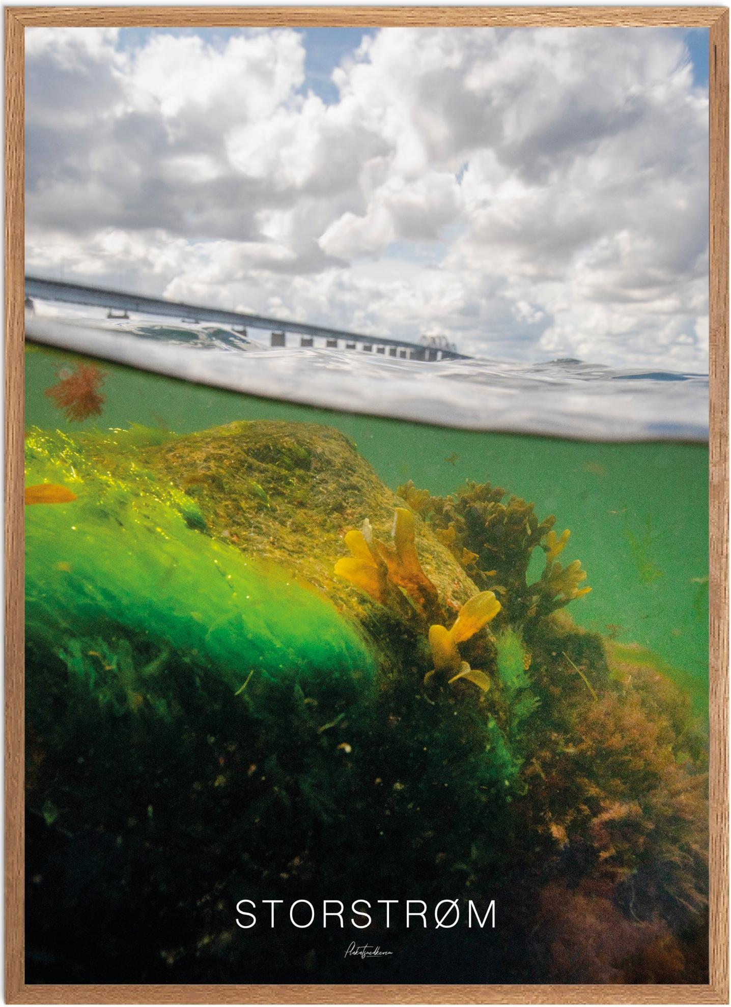 Plakat Storstrøm Naturplakat Recommended Products Seguno Plakat Plakatsnedkeren