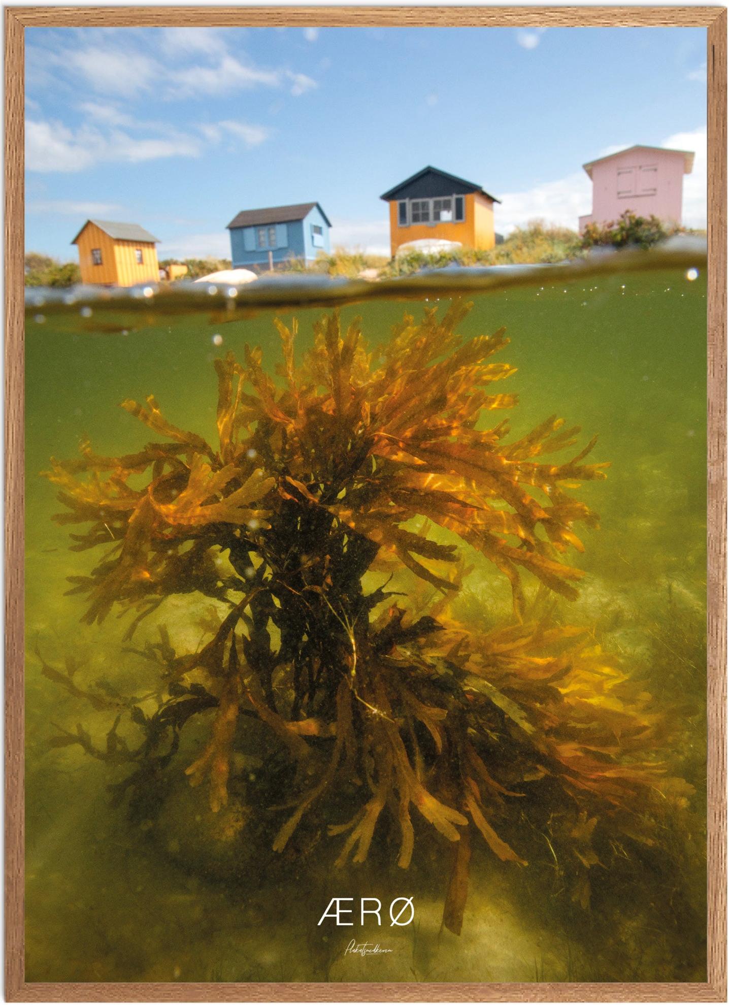 Plakat ærø Naturplakat Recommended Products Seguno Plakat Plakatsnedkeren