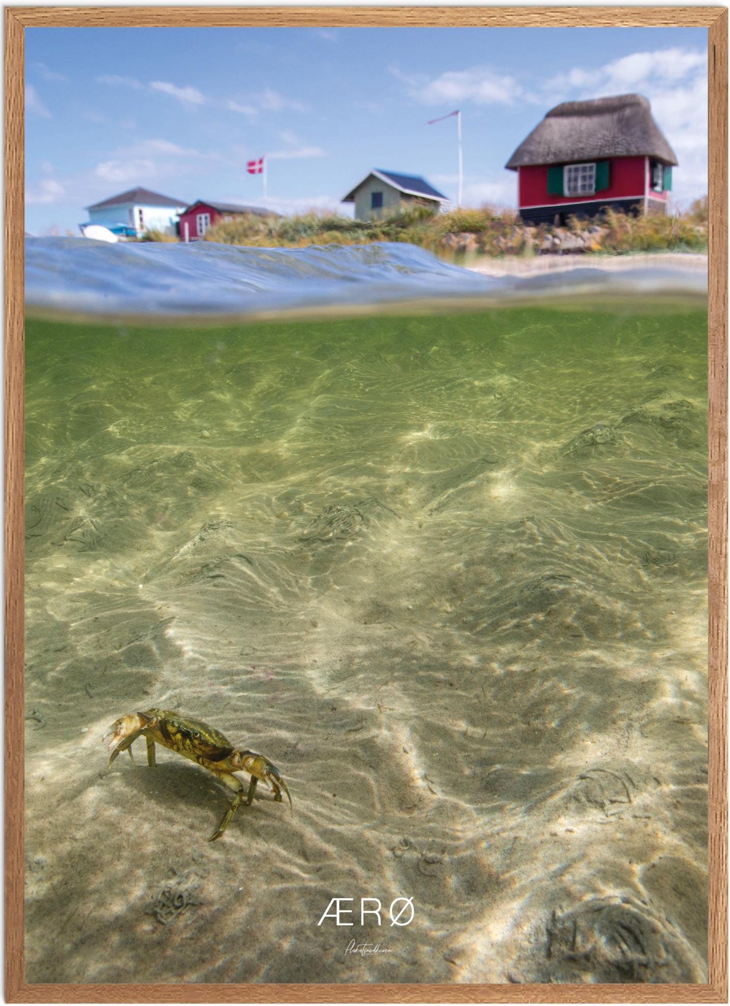 Plakat ærø Naturplakat Recommended Products Seguno Plakat Plakatsnedkeren