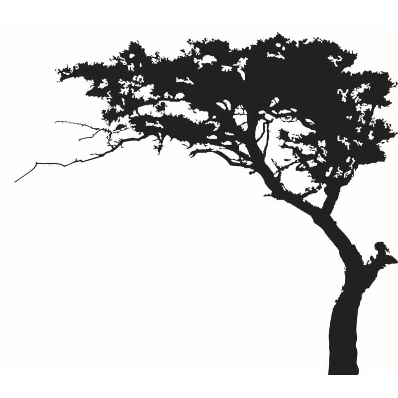 Imponerende Bonsai Træ Wallsticker – Unik Vægdekoration