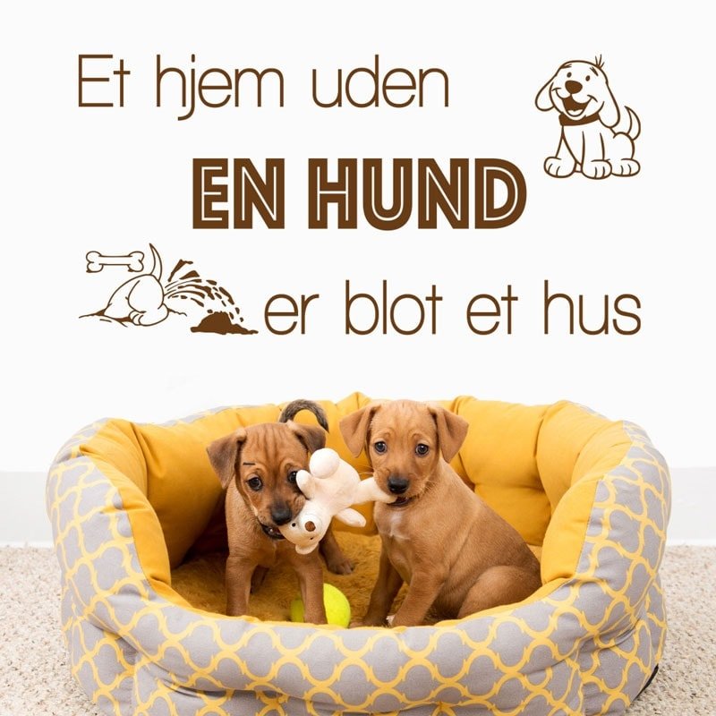 Hjem med Hund – Vægklistermærke til Kæledyrskærlighed