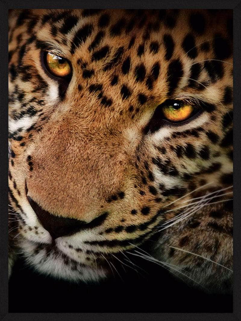 Leopard Nærbillede Plakat – Unik Dyreplakat til Dit Hjem