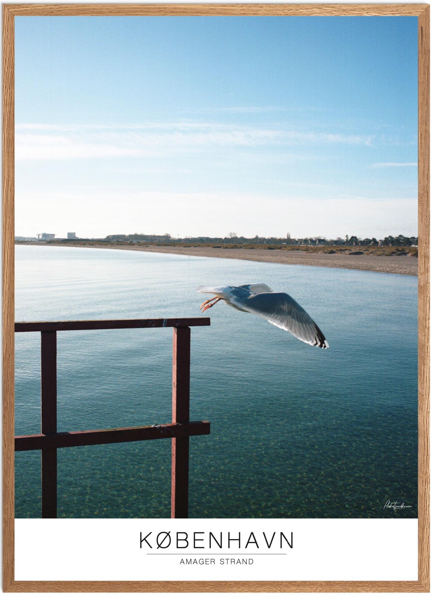 Plakat Amager Strand Naturplakat Recommended Products Seguno Plakat Plakatsnedkeren