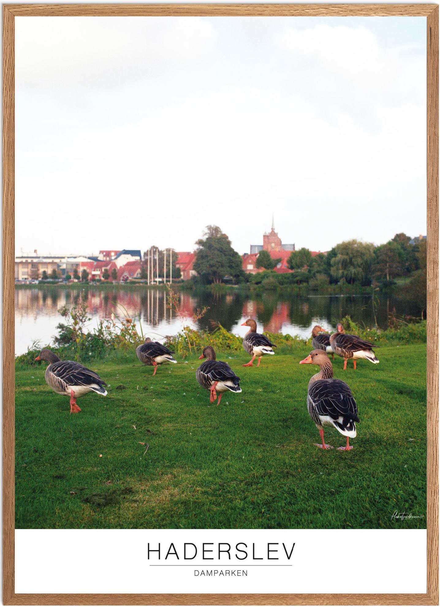 Plakat Haderslev Dampark Naturplakat Recommended Products Seguno Plakat Plakatsnedkeren