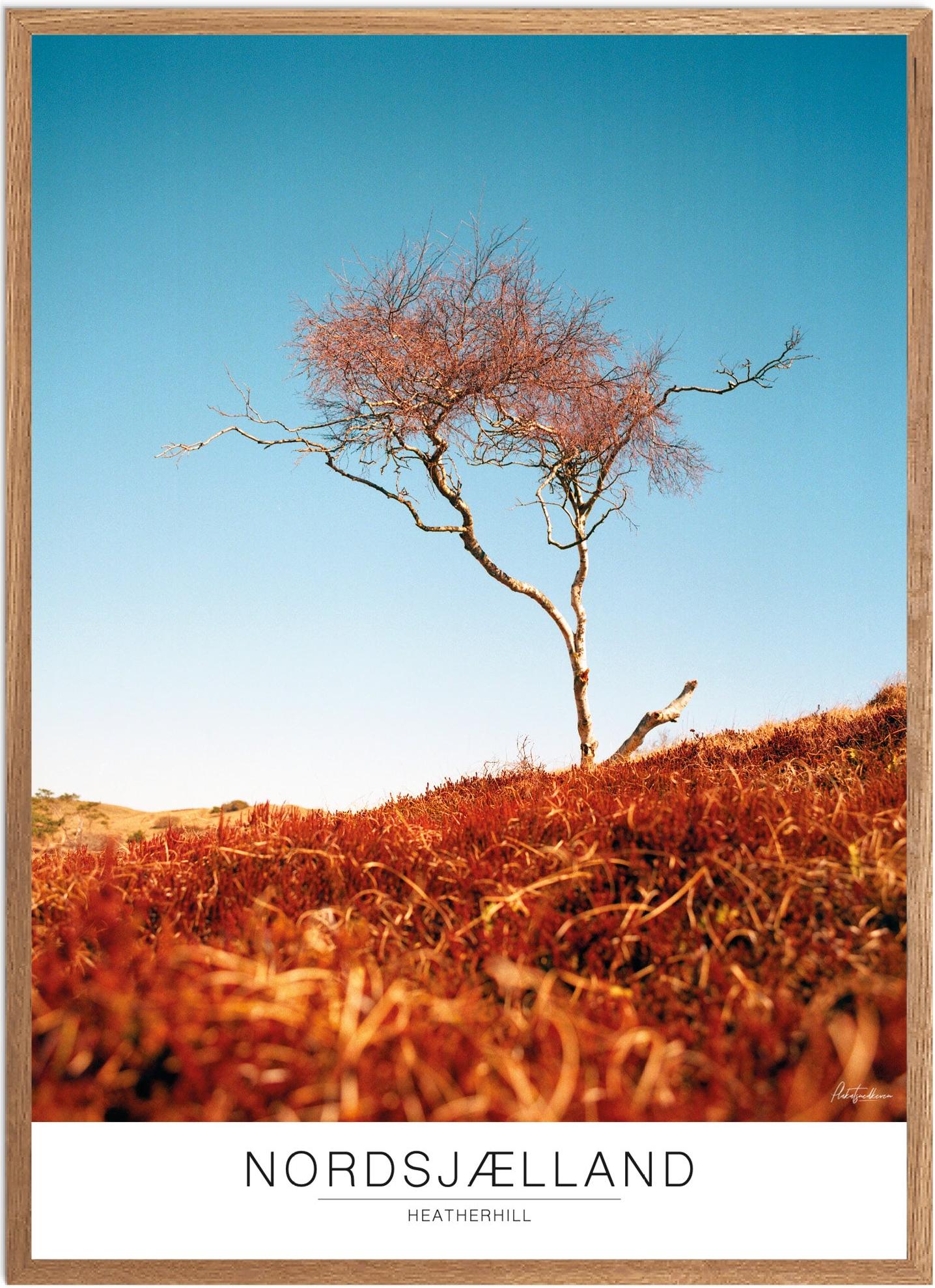Plakat Heatherhill Naturplakat Recommended Products Seguno Plakat Plakatsnedkeren