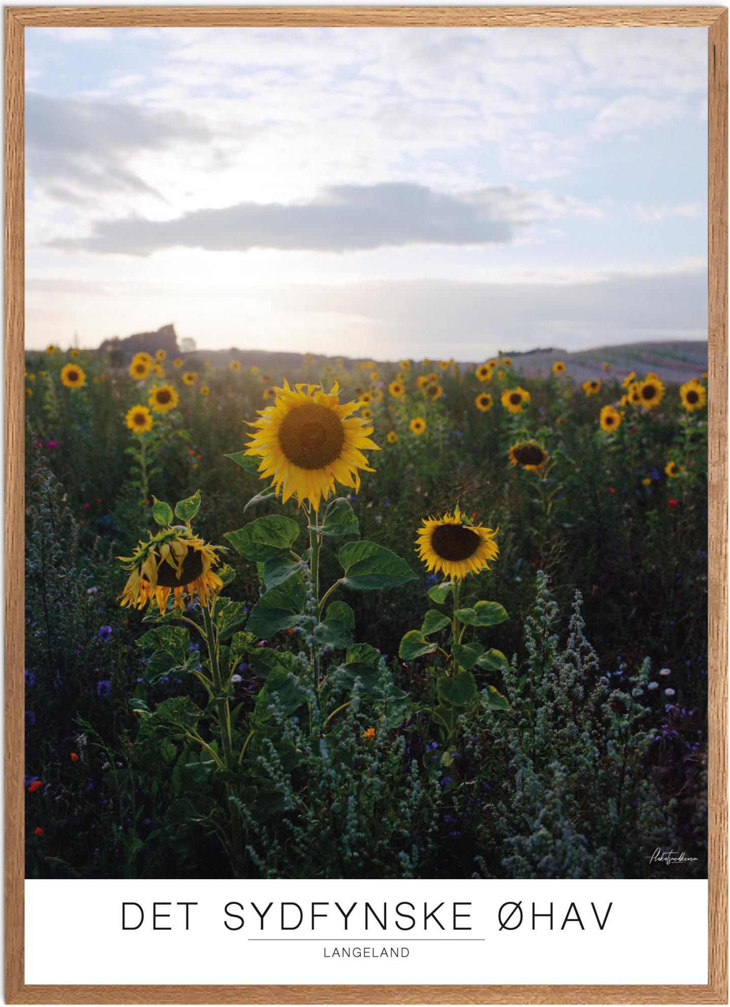 Plakat Langeland Naturplakat Recommended Products Seguno Plakat Plakatsnedkeren
