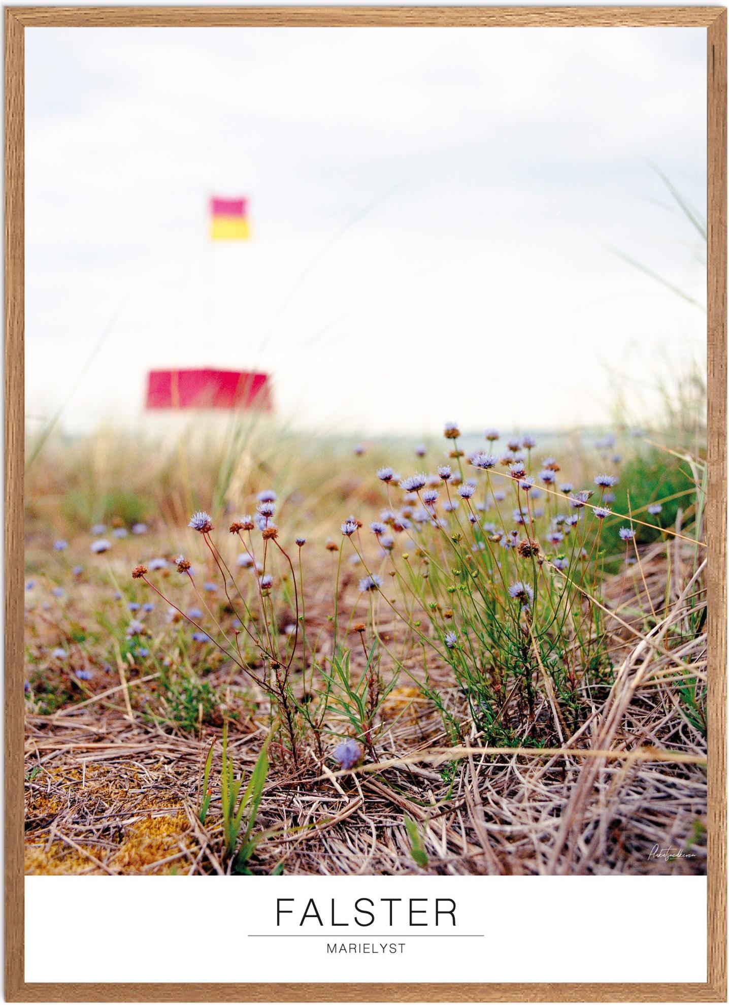Plakat Marielyst Strand Naturplakat Recommended Products Seguno Plakat Plakatsnedkeren