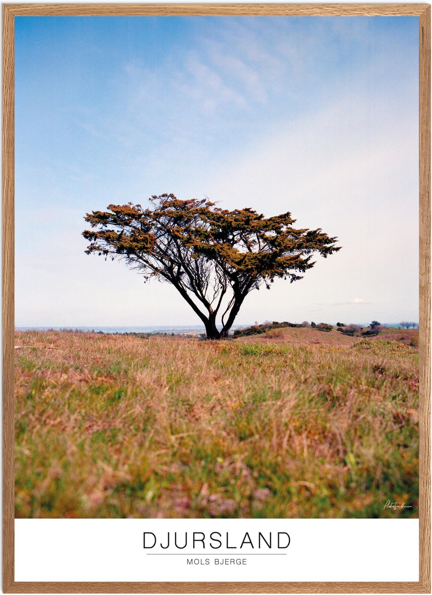 Plakat Mols Bjerge Naturplakat Recommended Products Seguno Plakat Plakatsnedkeren