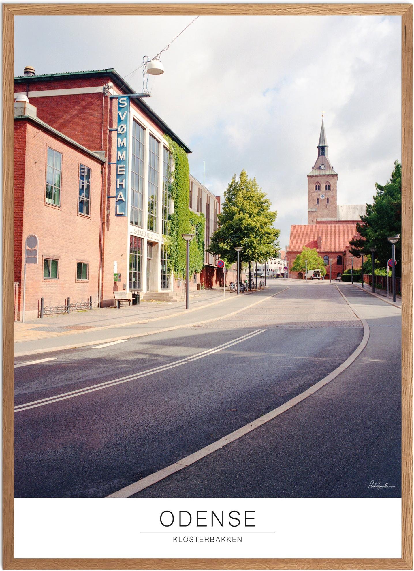 Plakat Odense Naturplakat Recommended Products Seguno Plakat Plakatsnedkeren