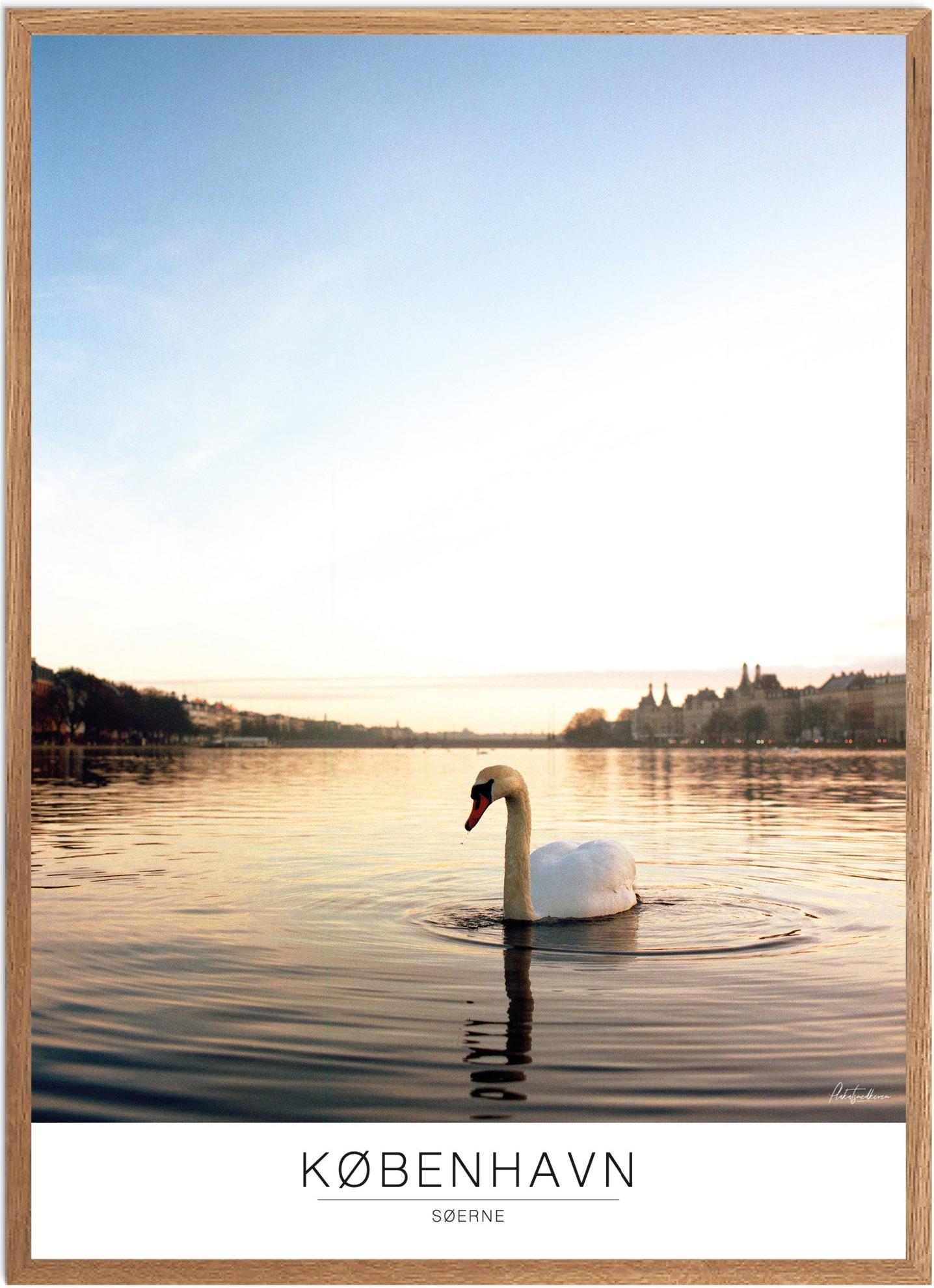 Plakat Søerne Naturplakat Recommended Products Seguno Plakat Plakatsnedkeren