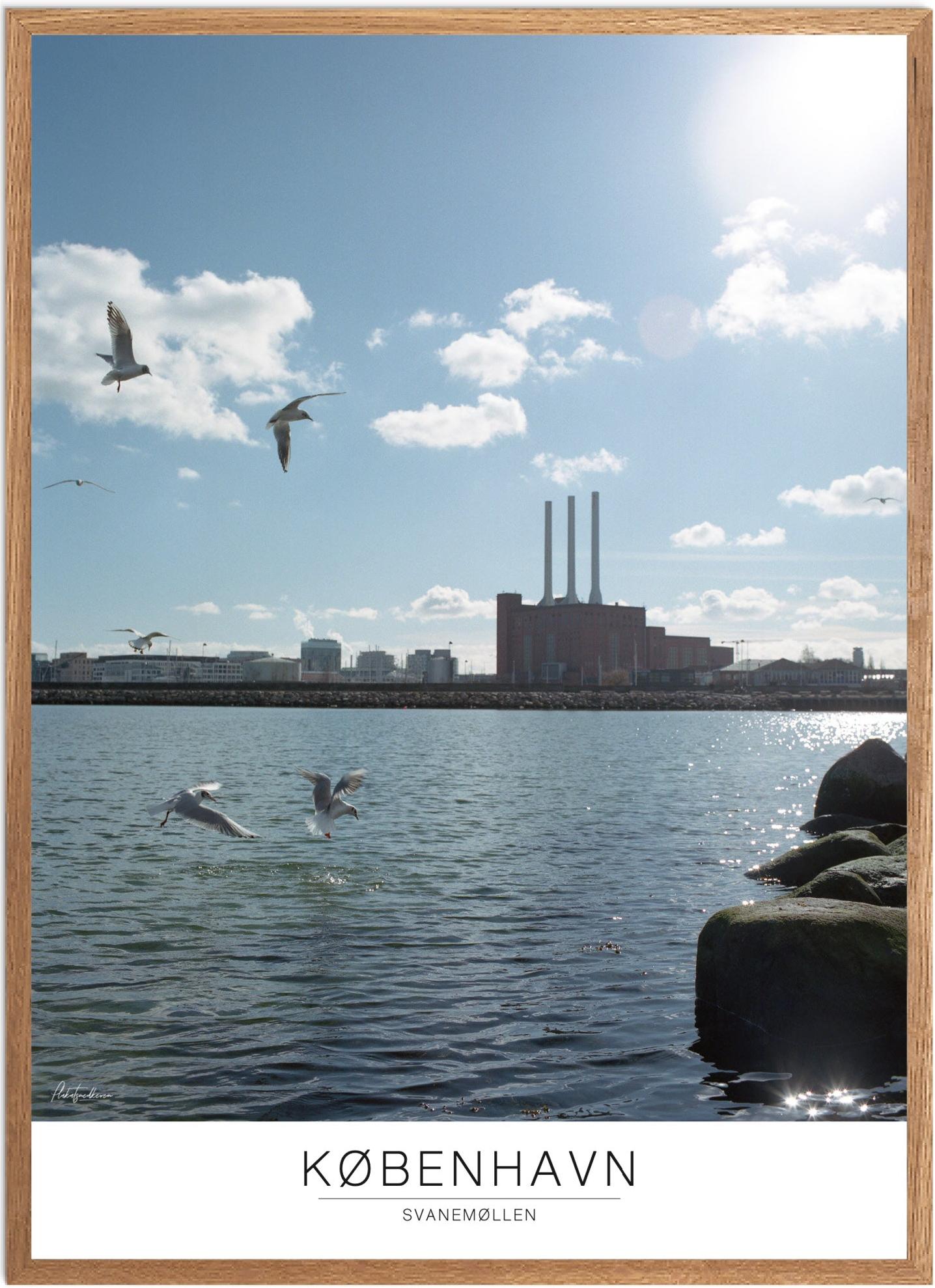 Plakat Svanemøllen Naturplakat Recommended Products Seguno Plakat Plakatsnedkeren