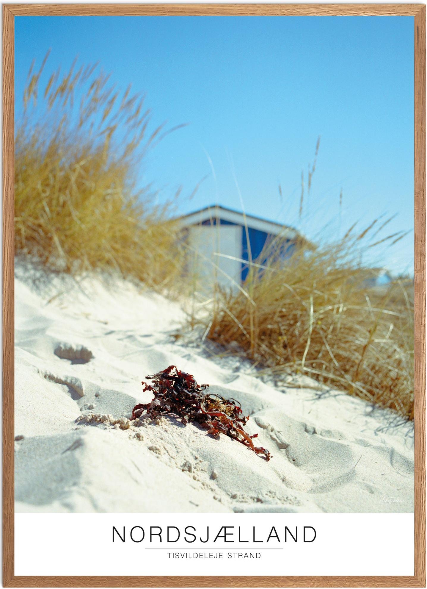 Plakat Tisvildeleje Strand Naturplakat Recommended Products Seguno Plakat Plakatsnedkeren