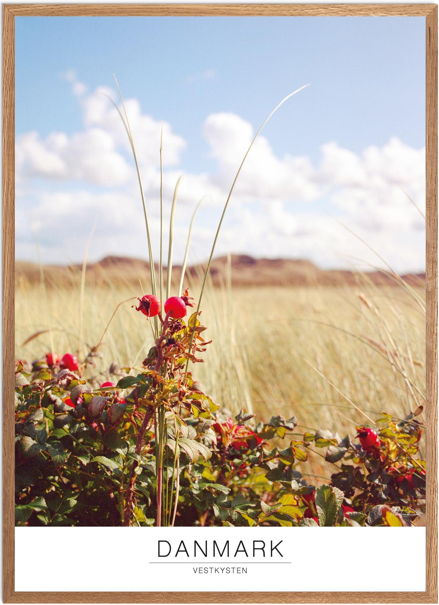 Plakat Vestkysten Naturplakat Recommended Products Seguno Plakat Plakatsnedkeren